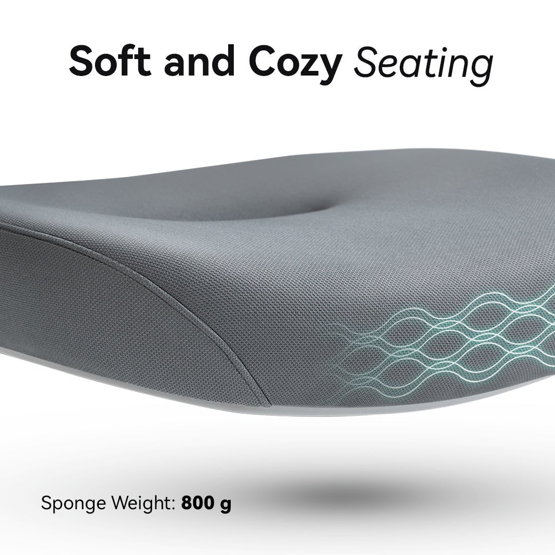 Hinomi Q1 Ergonomic Office Chair