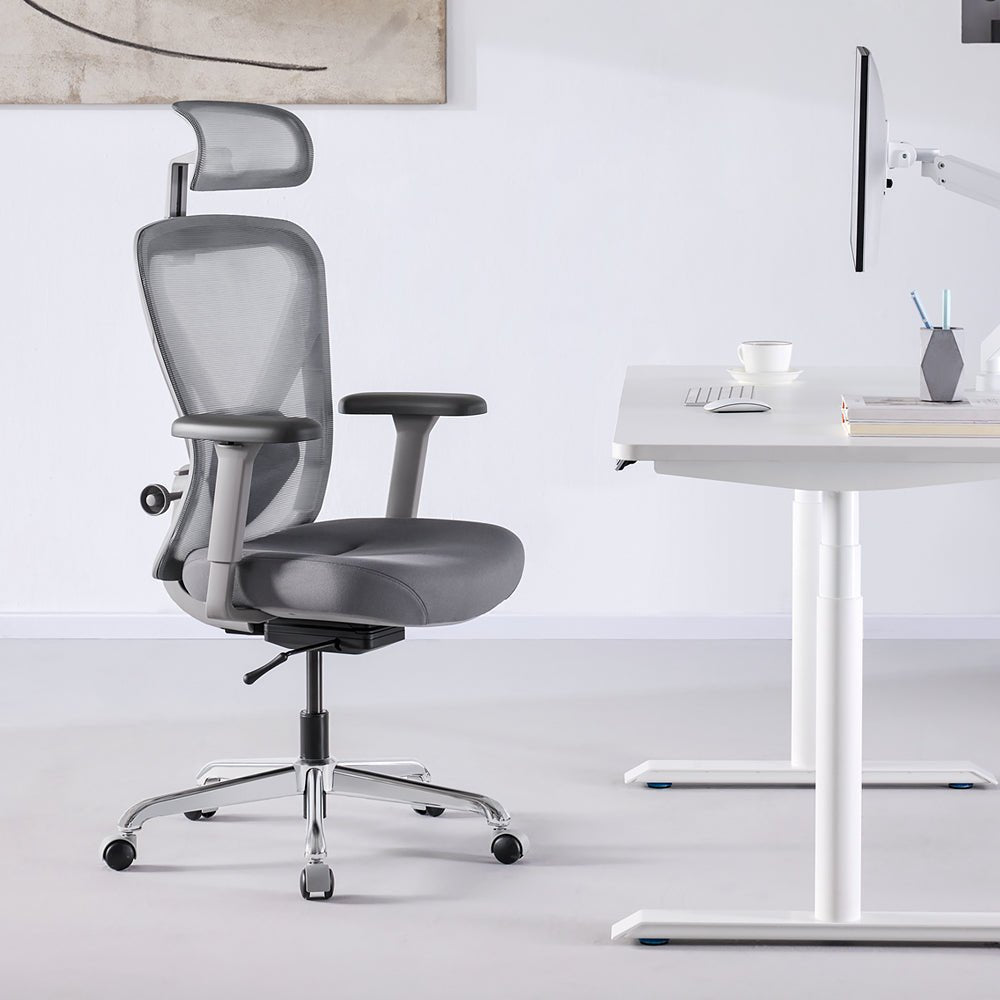 Hinomi Q1 Ergonomic Office Chair