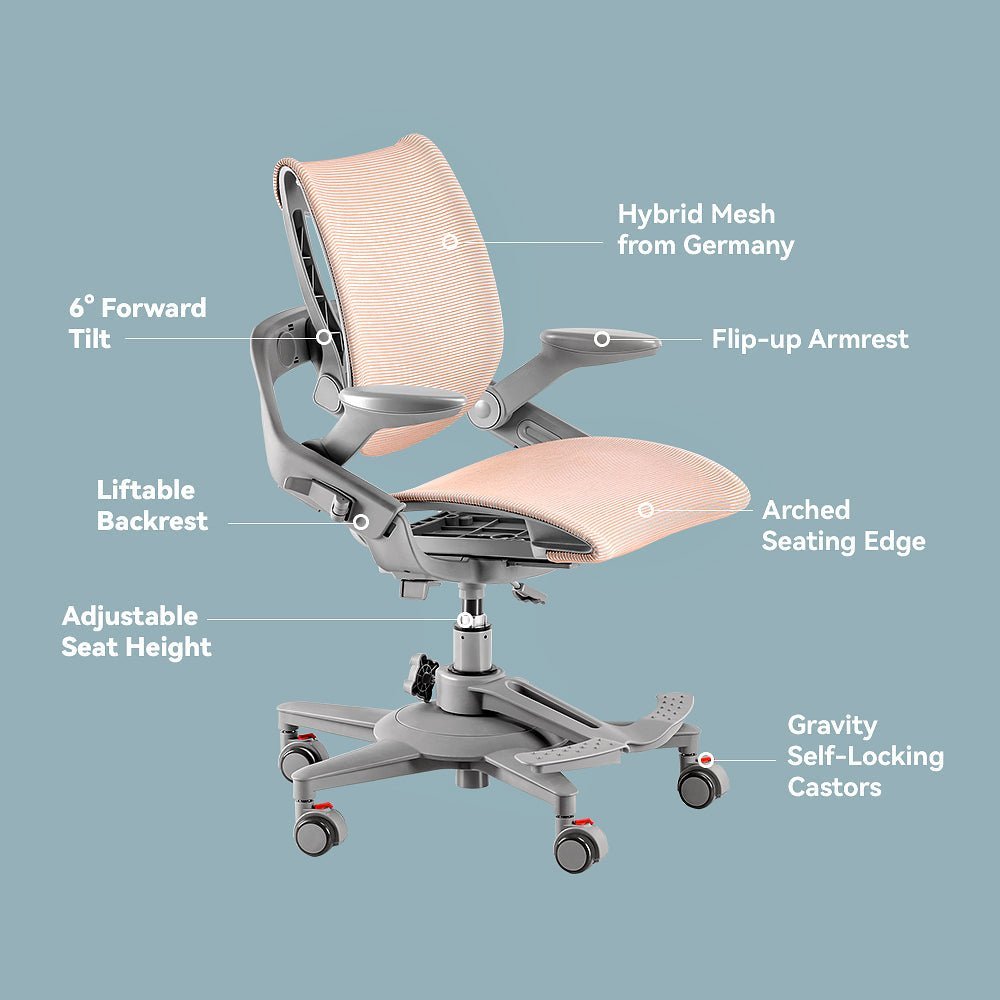 Hinomi Zee V2 Ergonomic Kids Study Desk Chair