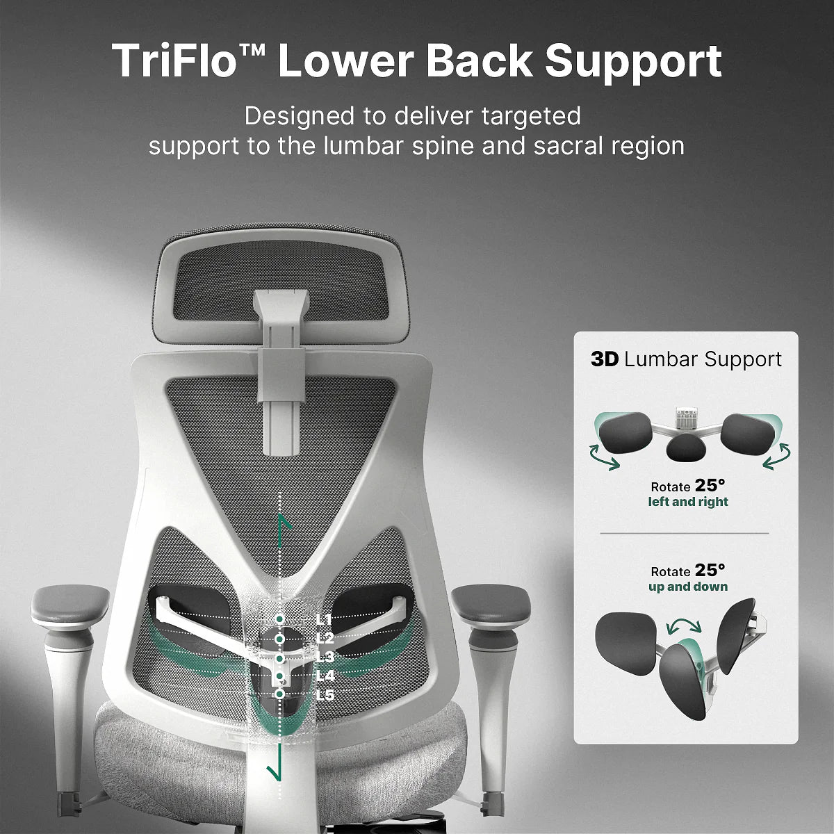 Hinomi D3 Ergonomic Office Chair