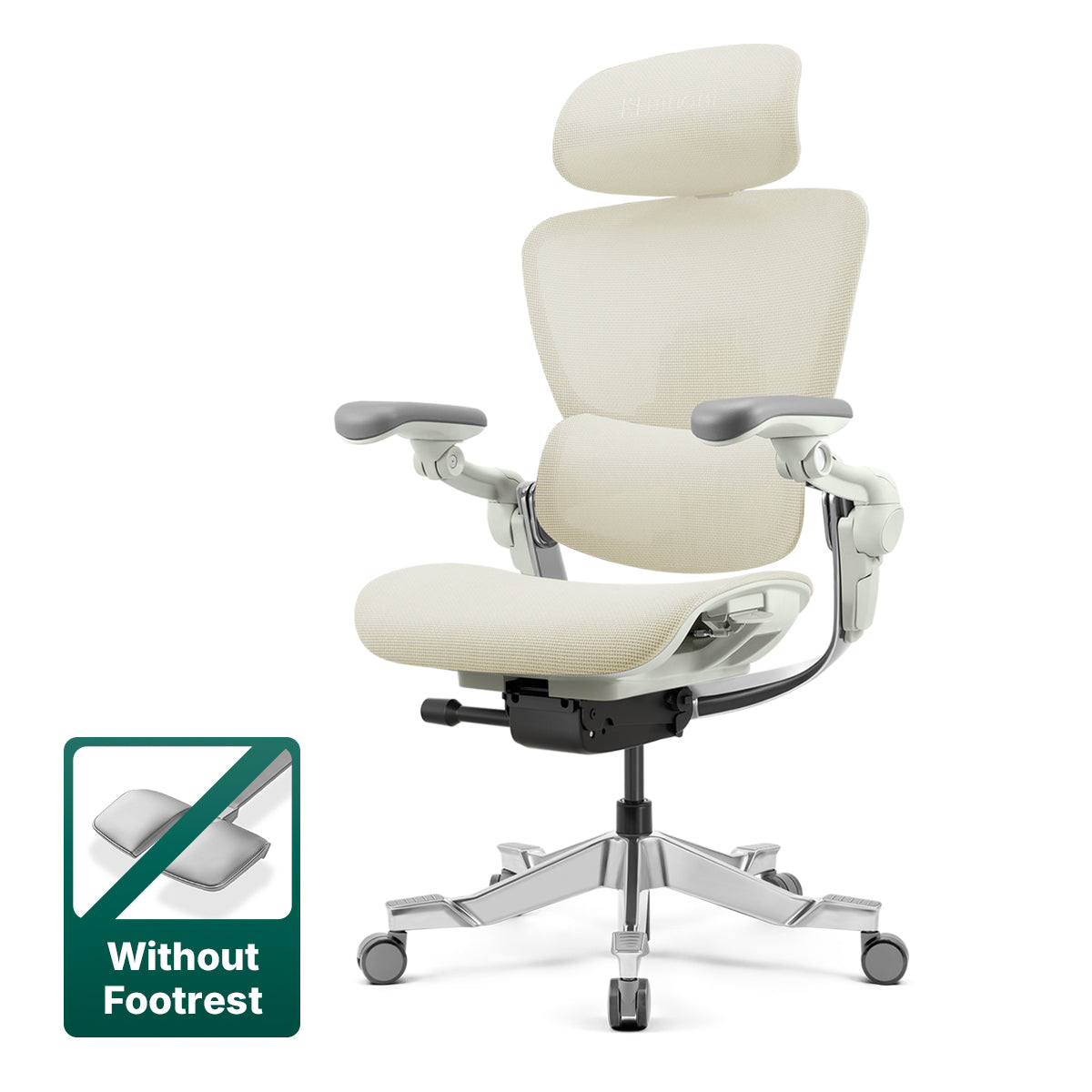 Hinomi H2 Pro Ergonomic Home Office Chair with Optional Footrest