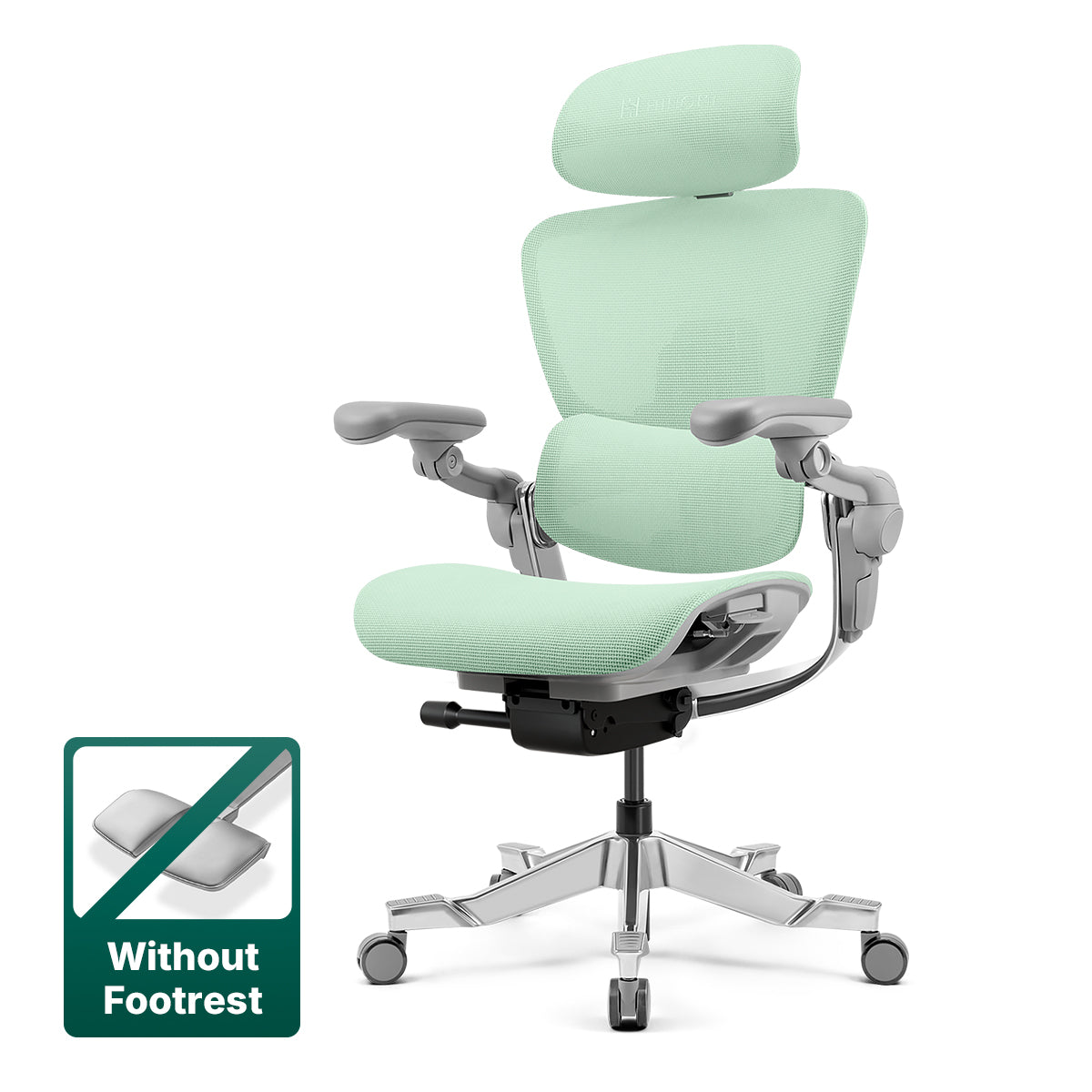 Hinomi H2 Pro Ergonomic Home Office Chair with Optional Footrest