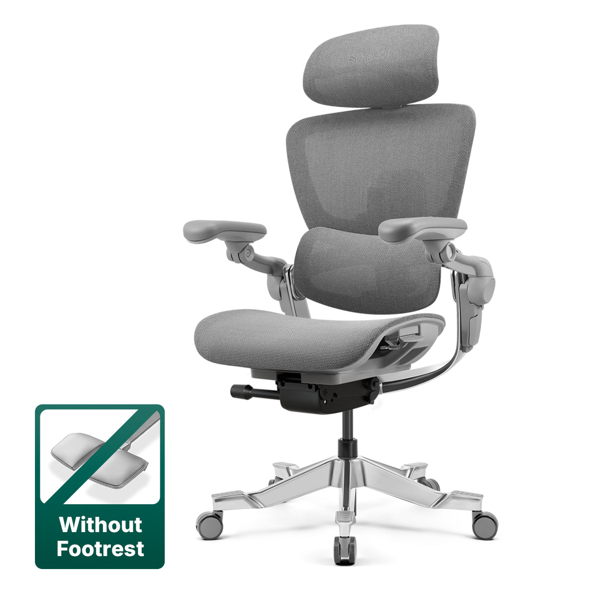 Hinomi H2 Pro Ergonomic Home Office Chair with Optional Footrest