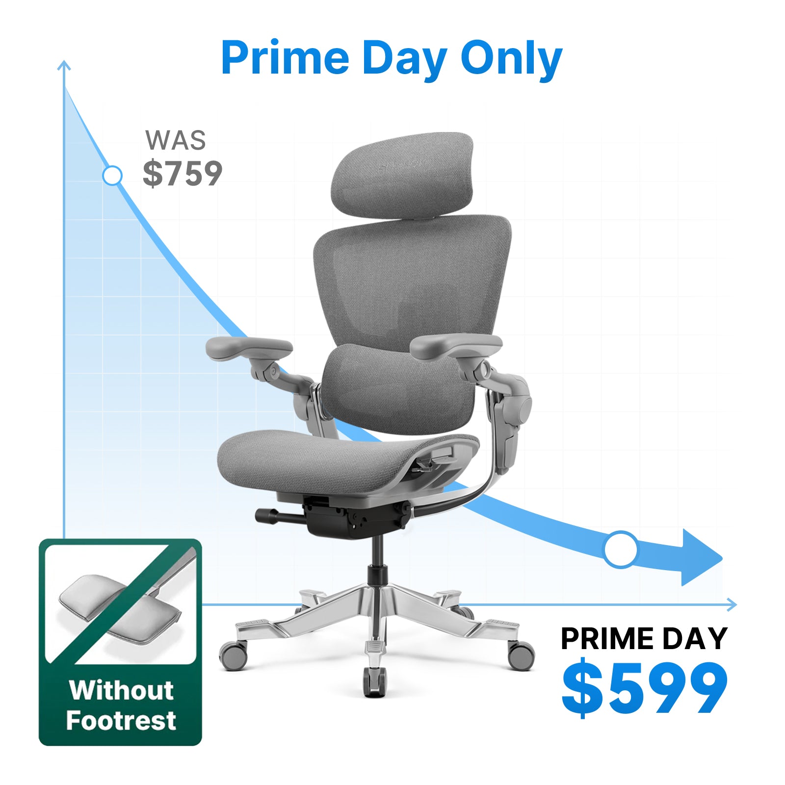 Hinomi H2 Pro Ergonomic Office Chair with Selectable Footrest