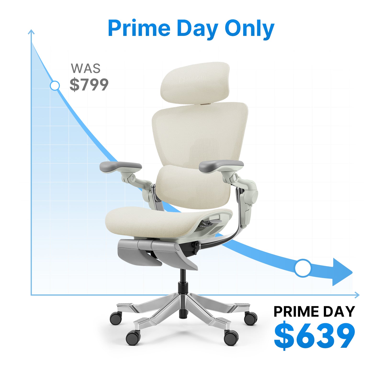 Hinomi H2 Pro Ergonomic Office Chair with Selectable Footrest