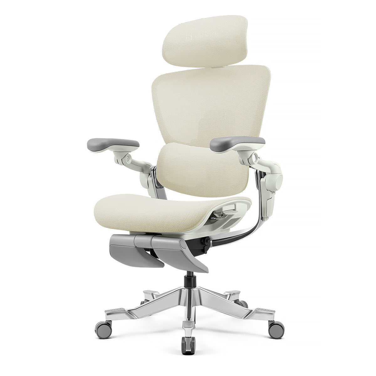 Hinomi H2 Pro Ergonomic Office Chair with Optional Leg Rest
