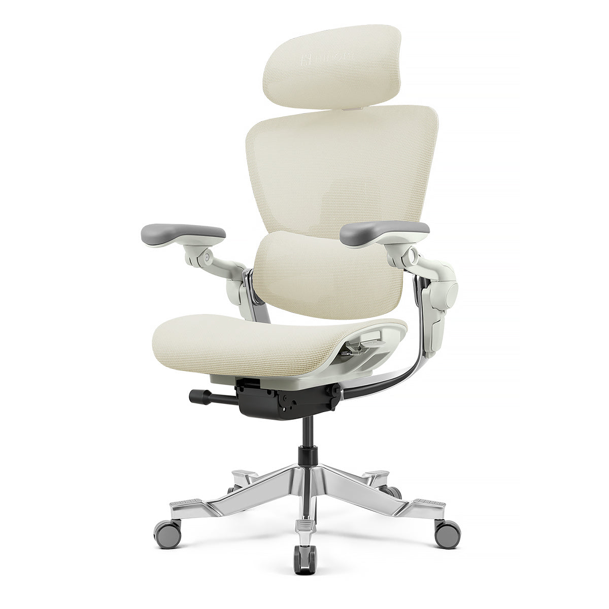 Hinomi H2 Pro Ergonomic Office Chair with Optional Leg Rest