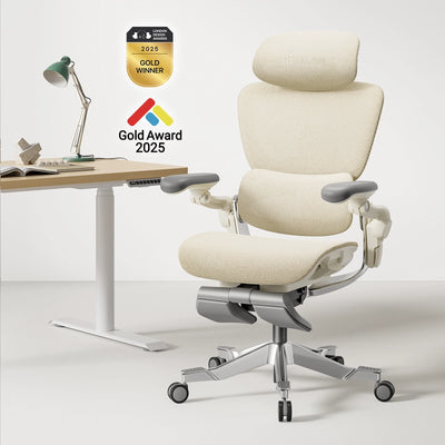 Hinomi H2 Pro Ergonomic Office Chair with Selectable Footrest