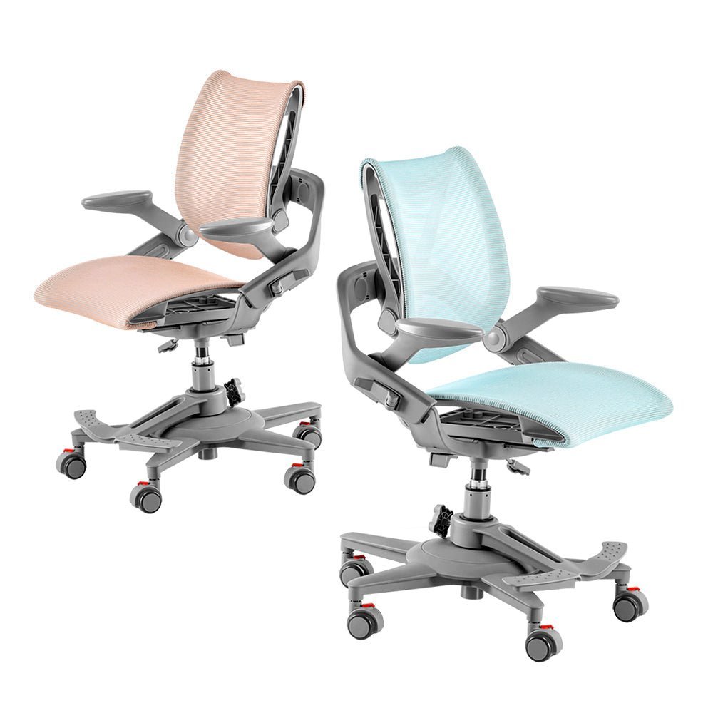 Hinomi Zee V2 Ergonomic Kids Study Desk Chair