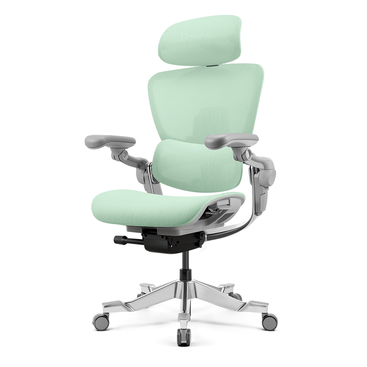 Hinomi H2 Pro Ergonomic Office Chair with Optional Leg Rest