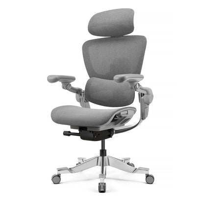 Test H2 Pro Ergonomic Home Office Chair (Copy)