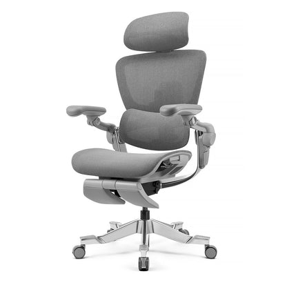 Test H2 Pro Ergonomic Home Office Chair (Copy)